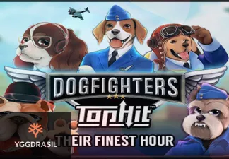 Dogfighters - Their Finest Hour Tophit™
